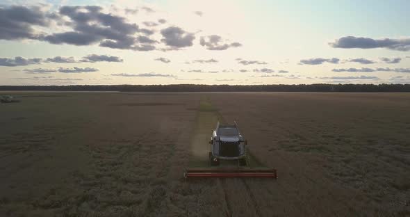 Upper View Combine with Grain Platform Works at Harvesting