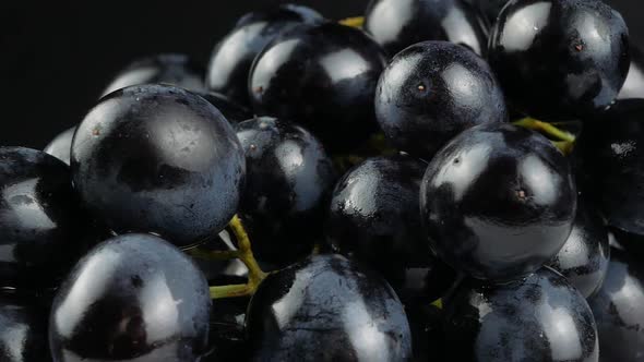 Dark blue grape on black background