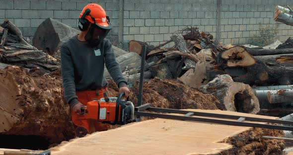 Lumberjack cutting tree trunk with giant chainsaw to make wooden planks