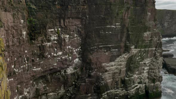 A panning shot of a seabird colony on a dramatic, sheer sea cliff as turquoise green waves crash aga