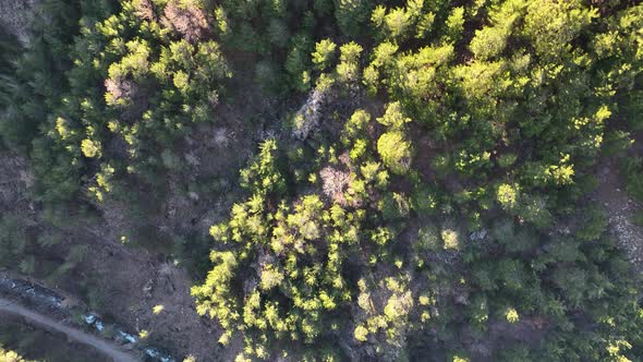 Canyon in the mountains Turkey Alanya 4 K