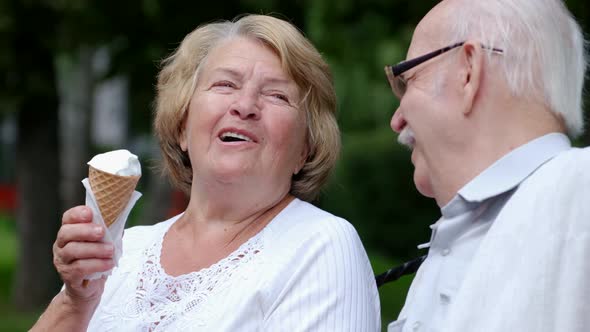 Grandpa and Grandma are Sitting on a Bench in a Park in New York USA