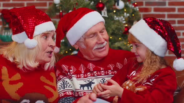 Happy Senior Grandparents with Granddaughter Enjoying Pleasant Conversation in Christmas Home Room