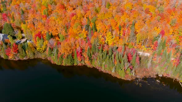 Aerial view of fall season foliage colors.