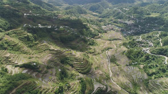 Rice Terraces in the Mountains