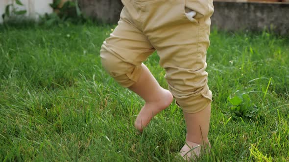 Man and Little Boy Bare Feet Walk on Fresh Green Grass
