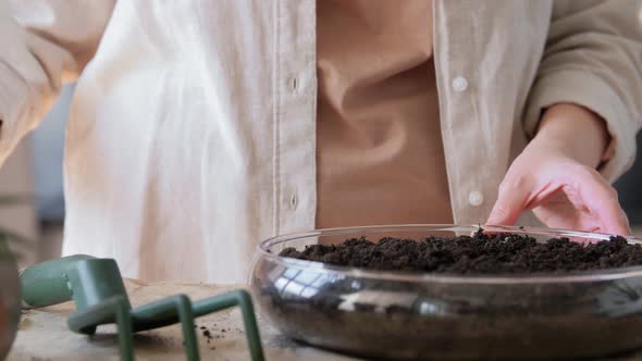 Woman Planting Pot Flowers at Home