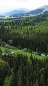 Carpathian Mountains