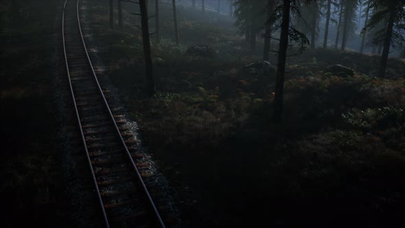 National Forest Recreation Area and the Fog with Railway