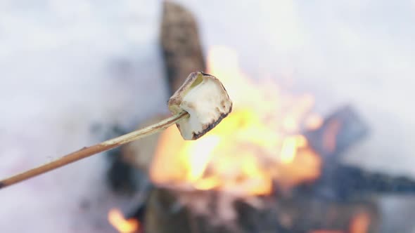Fried Marshmallows on a Bonfire in Winter Close Up