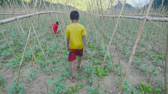 Poor Kids In Vegetables Garden