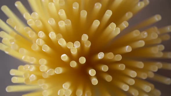 Rotating Noodles Spaghetti