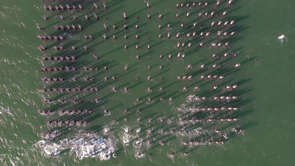 Princes Pier in Port Melbourne Australia Seen From A Bird's Eye View