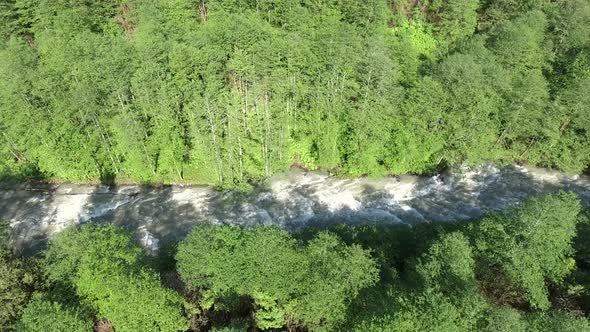 River Flowing Through Valley Floor of Broadleaf Tree Forest