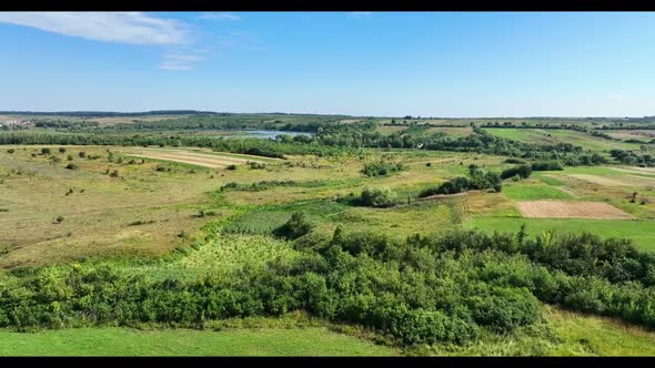 Aerial view of countryside scenic landscape, push in. Cows graze in the green meadow