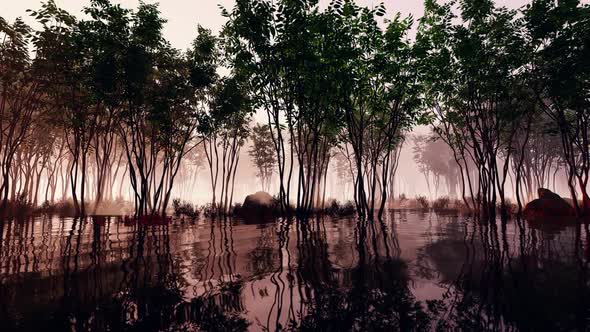 Panorama Of The Natural Landscape alt