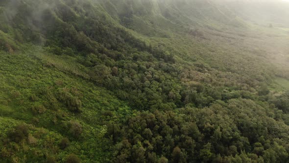 Drone flying forward through clouds above hawaiian forest on east oahu