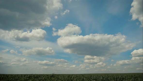 Beautiful Green Field Under Blue Sky, Timelapse