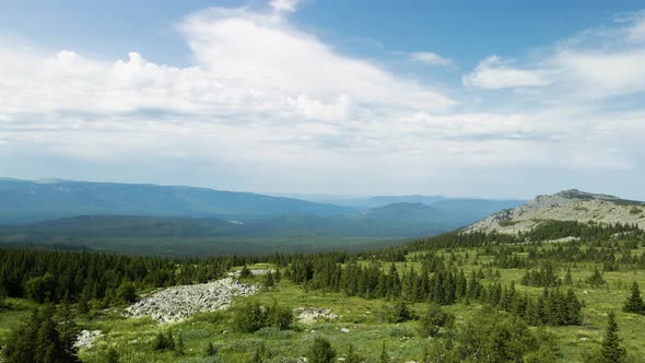 Green valley with trees and mountains