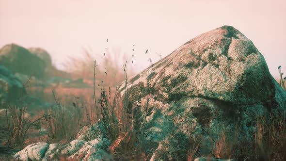 Dry Grass and Rocks Landscape