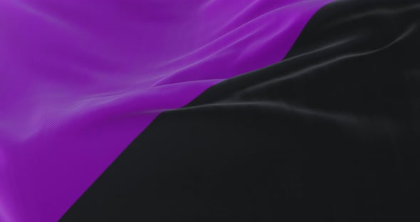 Anarchist Feminist Flag