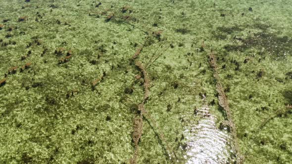 Top View of a Clean Ocean Water Near a Coast