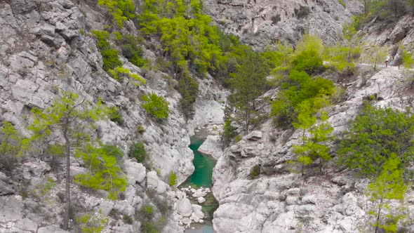 Flight Over a Mountain River and a Trail to a Gorge Among a Coniferous Forest