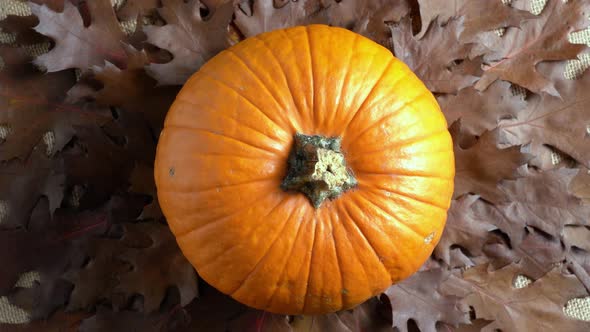 Pumpkin on Autumn Leaves
