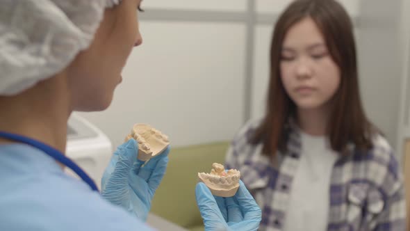 Female Orthodontist Showing Jaw Impression to Patient