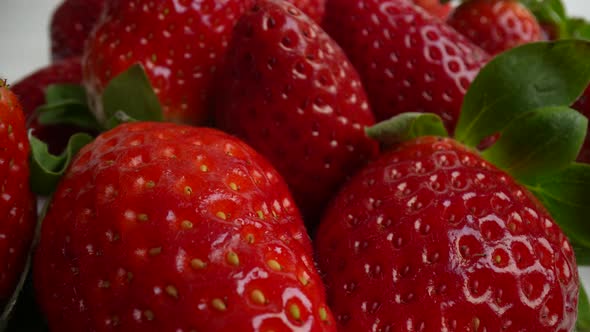 Fresh Ripe Strawberries 54