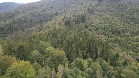 Aerial View of the Carpathian Mountains in Autumn. Ukraine