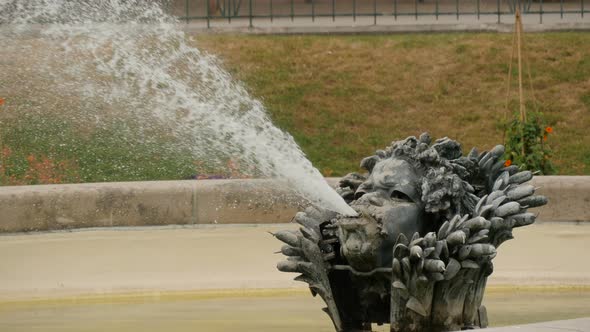 Close up of a human head fountain