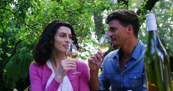 Happy couple having white wine in park