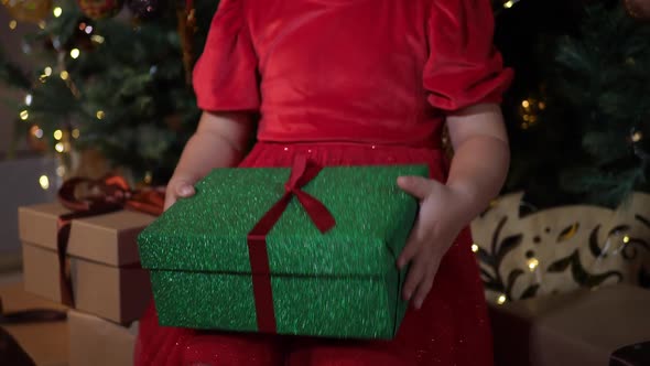 Korean Girl Child is Sitting the Christmas Tree and Opens Gift Green Box