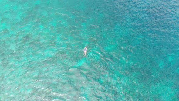 Aerial: woman snorkeling on coral reef tropical caribbean sea Indonesia Sulawesi