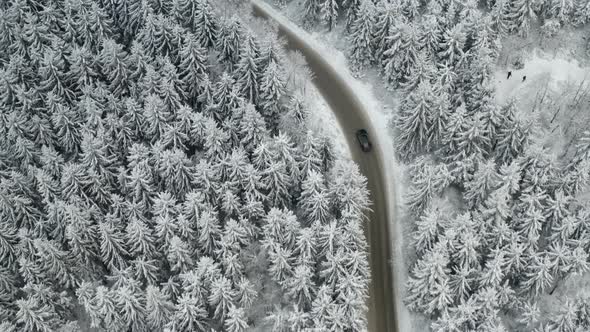 Aerial View of a Road Through the Winter Frozen Forest with Driving Cars