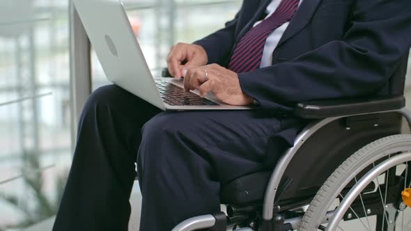 Businessman in Wheelchair Using Laptop