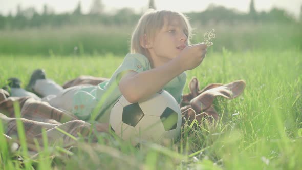 Portrait of Charming Little Boy Enjoying Sunny Summer Day on Meadow. Cute Caucasian Blond Kid Lying