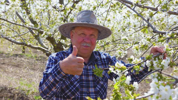 Senior Happy Farmer with Hat Showing Thumb Up Sign