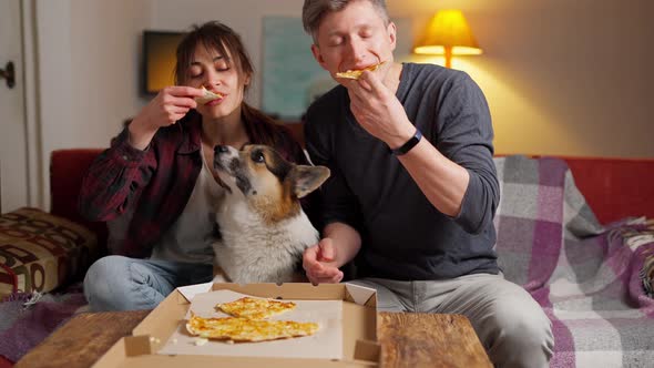 Couple with Dog Sitting Together on Couch Opening Pizza Box