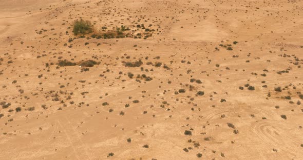 Dry desert landscape, Drone footage.