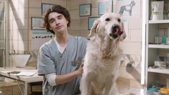 Portrait of Young Vet and Golden Retriever Dog in Clinic