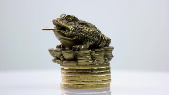 Frog Sitting on a Top of Coins Pile