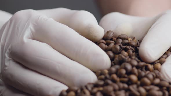 Closeup Hands Taking Coffee Grains