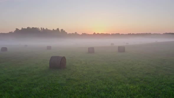 Hay Roll Field