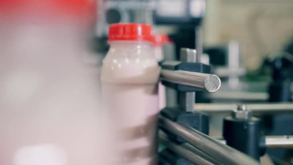 Yogurt in Bottles Move on a Factory Conveyor. Food Packaging Process at a Food Factory Conveyor.