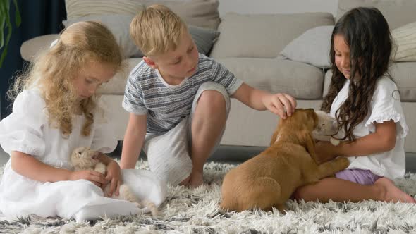 two little girls and boy playing with cocker spaniel puppy and Scottish Fold kitty in living room