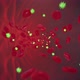 Blood And Bacteria Flows - VideoHive Item for Sale