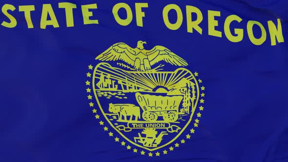 Flag of Oregon State Region of the United States Waving at Wind