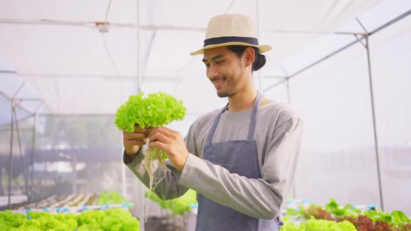 Young Asian farmer handsome man working in vegetables hydroponic greenhouse farm with happiness.